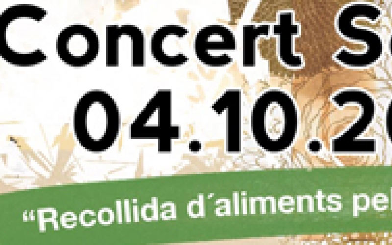 Concierto Solidario 