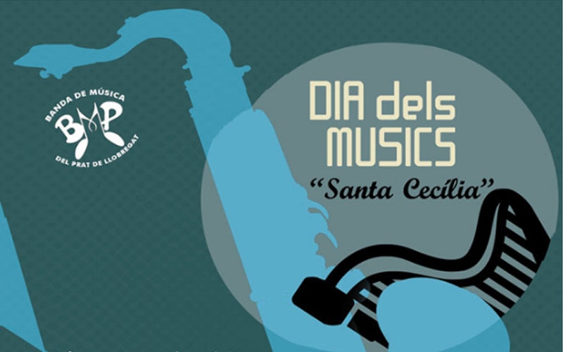DIA DELS MUSICS 2013, Sta. Cecília 